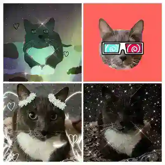 Kotiynet_fan_chat♡