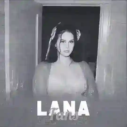 Lana Del Rey Fans