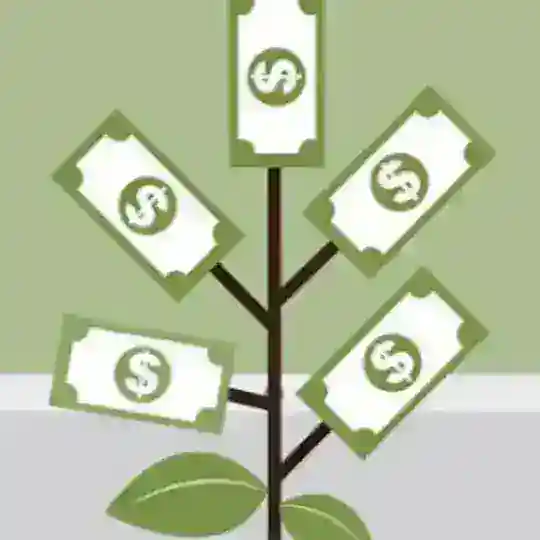 Learn Fast Earn