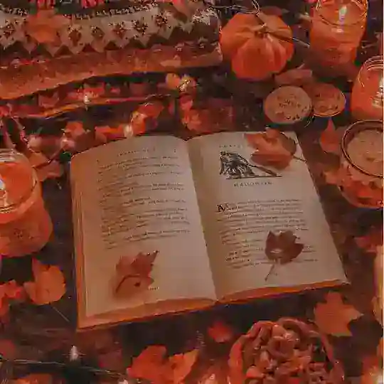 Чат Леночки🌷
