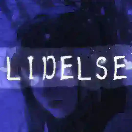 LIDELSE Community