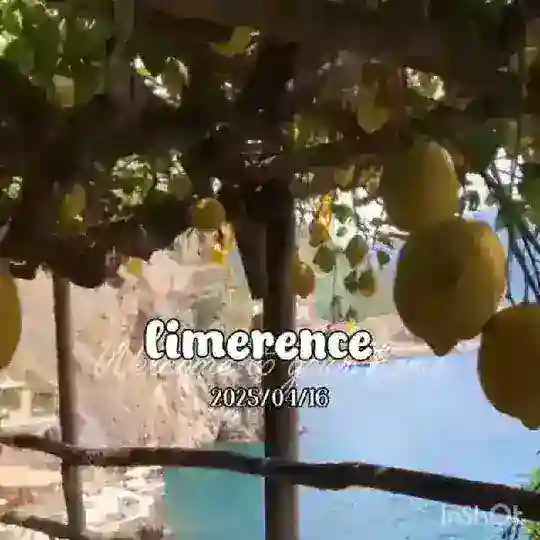 ㅤㅤ. lımerence