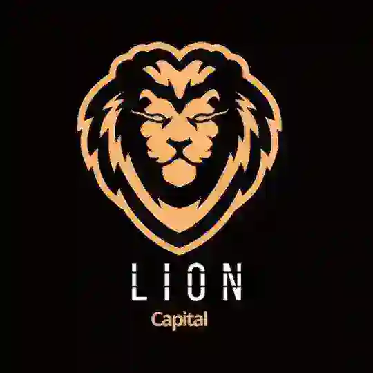 LION CAPITAL 🦁 | GROUP CHAT