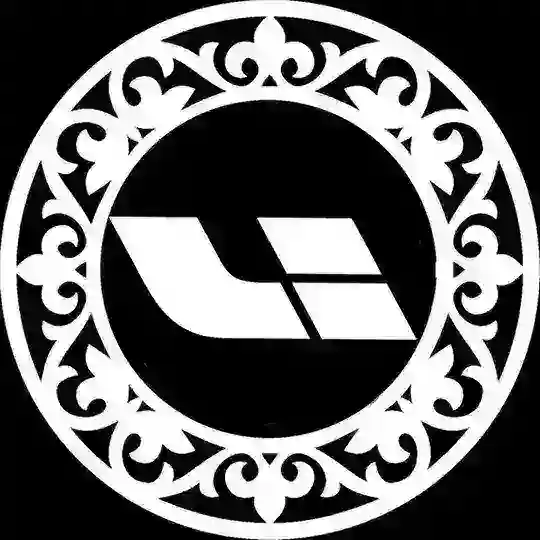 Lixiang owners KZ