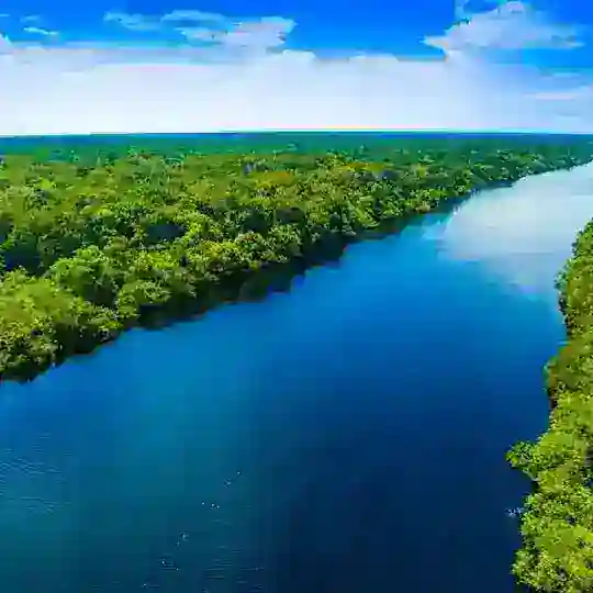 LOCS & SELF SUFFiCiENCY 💙