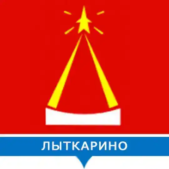 Лыткарино Серьёзное