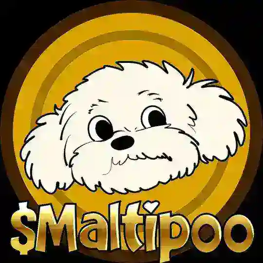 MALTIPOO Official