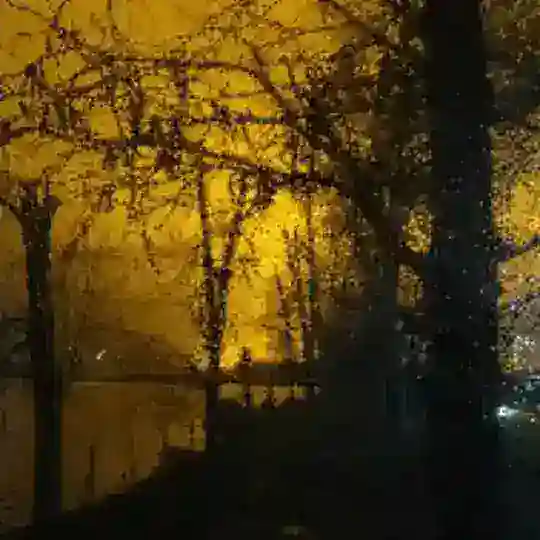 📿MARGLAN📿Musulman📿