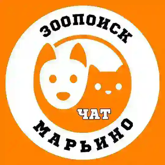 Чат Зоопоиск Марьино
