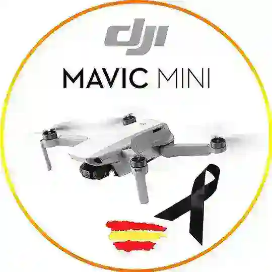 DJI Mavic Mini πͺπΈ