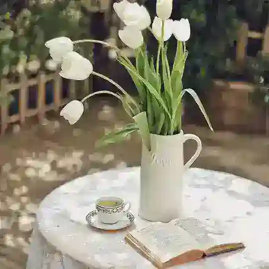 ✨SOHBET HAYALHANEM