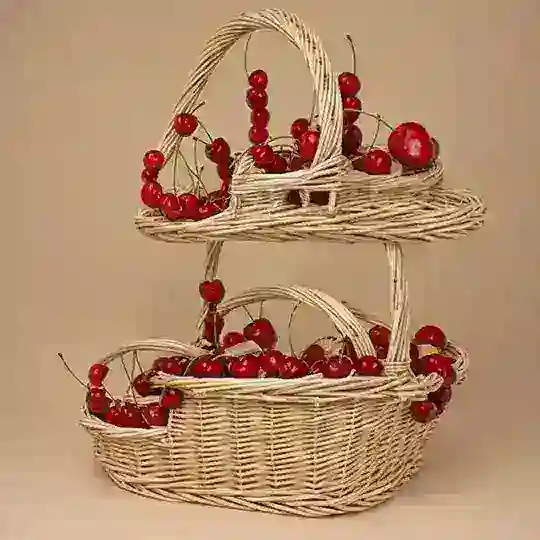 گروه مایان وسطی