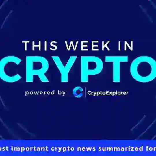 Blockchain Navigators