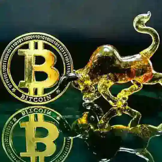 FOREX BINARY TRADE INVESTMENT⚡️⚡️⚡️⚡️