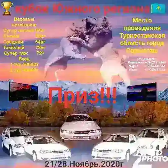 Кубок Южного Региона