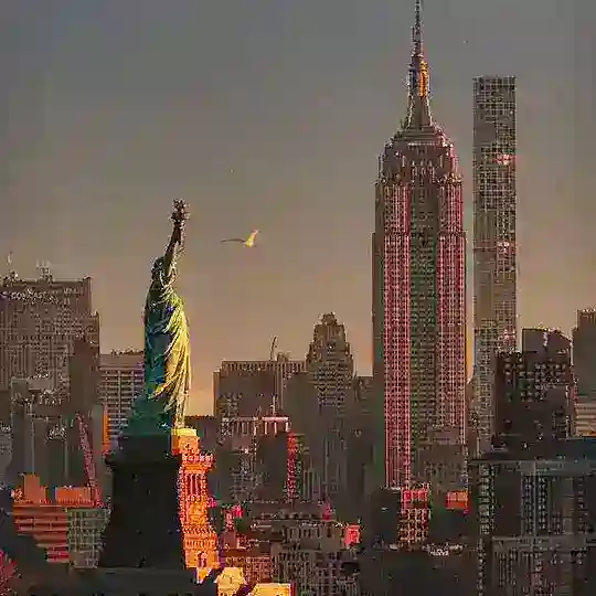 Ms in USA 2024