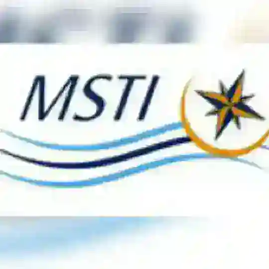 Msti year1 group