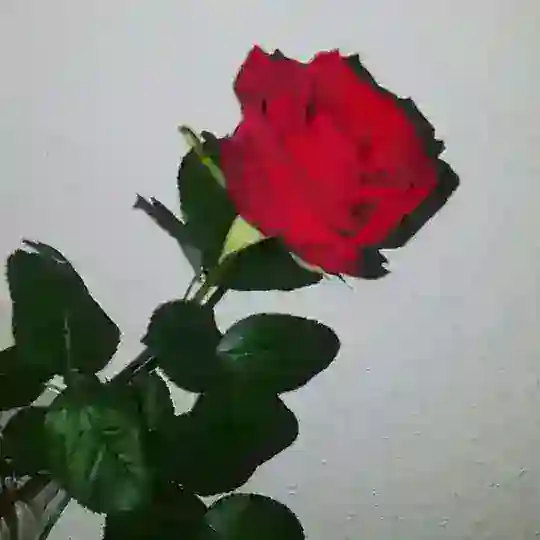 Ismlar.rasmlarga.yozamiz. va mp3larga zakaz gr