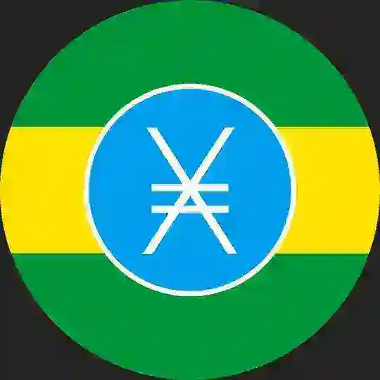 NANO Brasil 🇧🇷 (XNO)