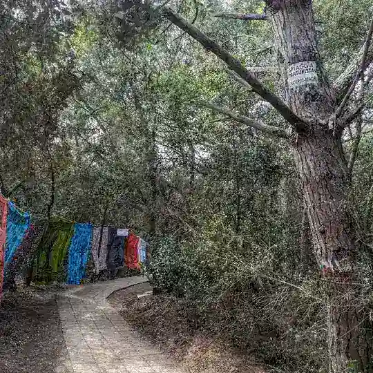 Nudisti e nudismo sparso per l'italia