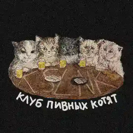 клуб пивных necokitin