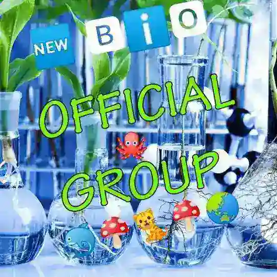 π¬πππ π
±οΈβΉοΈπ
ΎοΈ OFFICIAL GROUPπ±ππππ