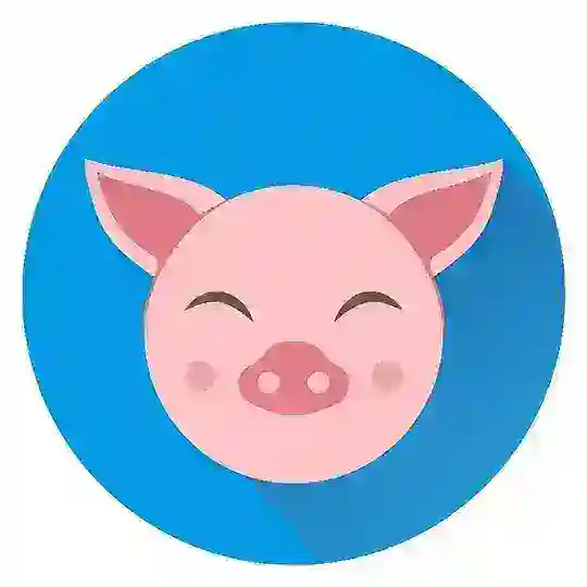 Ngepet Crypto Grup