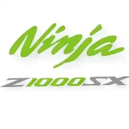 Kawasaki Ninja 1000/1100 SX España