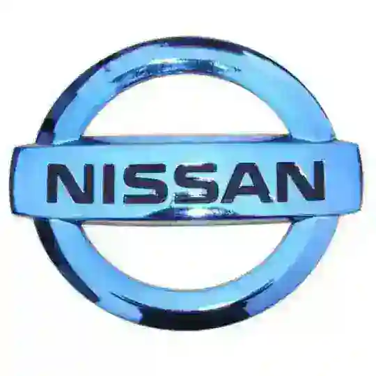 Nissan EV Belarus