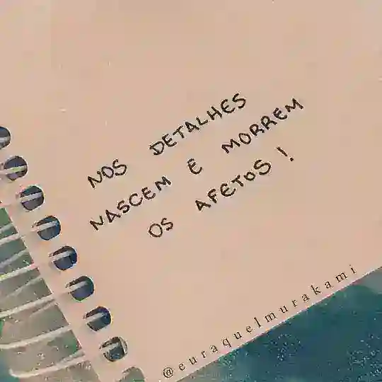 🧠Amigos🌍
