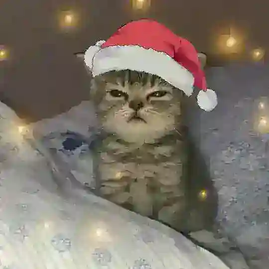 Чат для общения