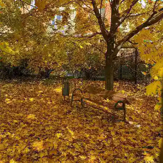 Полезный чат Одинбурга💃