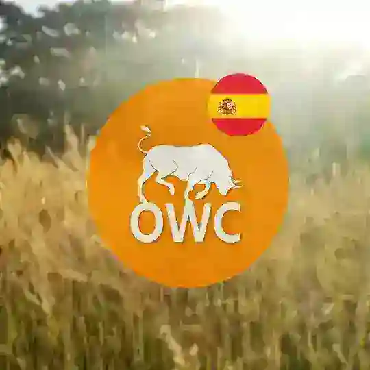 Oduwa Coin ES🇪🇸
