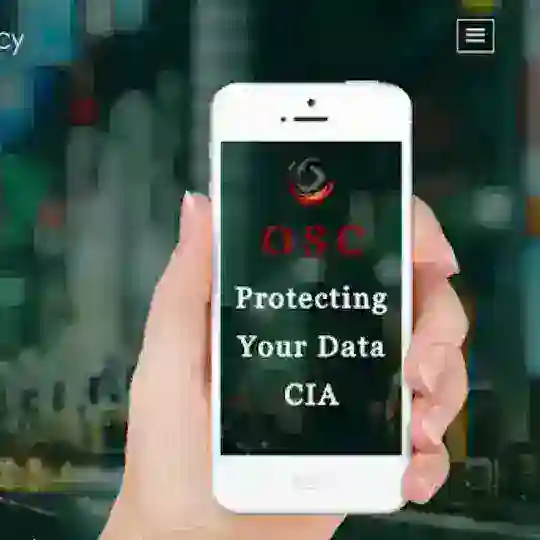 Offensive Security & Consultancy (OSC)
