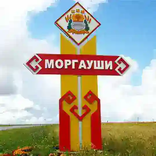 Официальная группа «МОРГАУШИ»