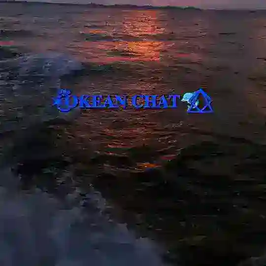 ✶֟፝͜͡𝐎𝐊𝐄𝐀𝐍 𝐂𝐇𝐀𝐓🐬⃟⃤