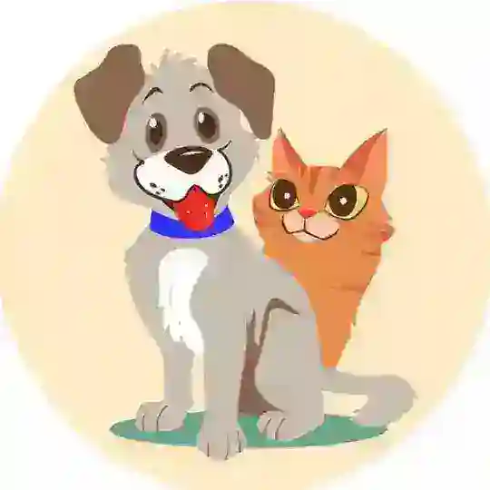 Собаки и кошки Очаково-Матвеевское🐕🐈 Chat