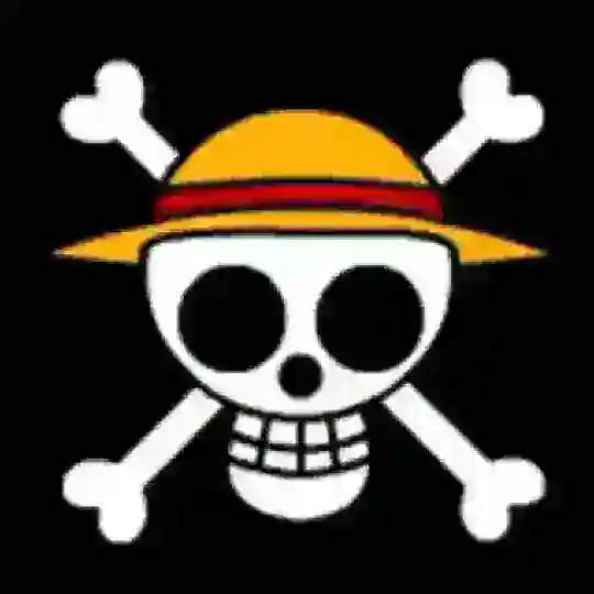 One Piece Group