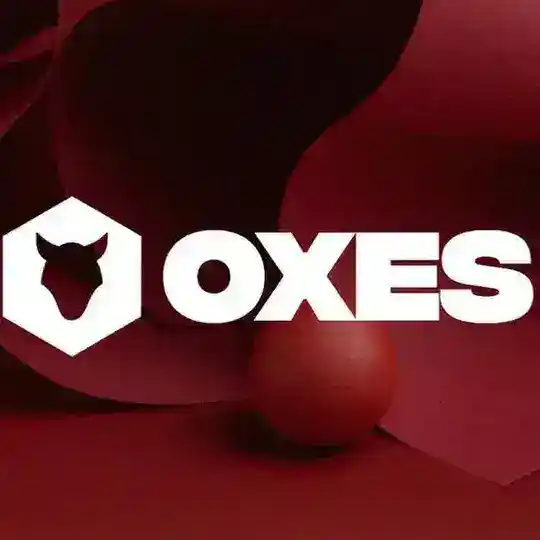 ⭕️xes