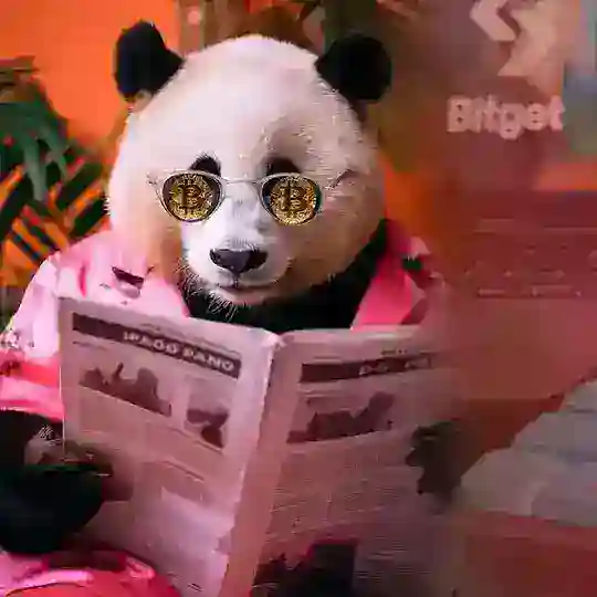 Panda研究院华语币圈交流群