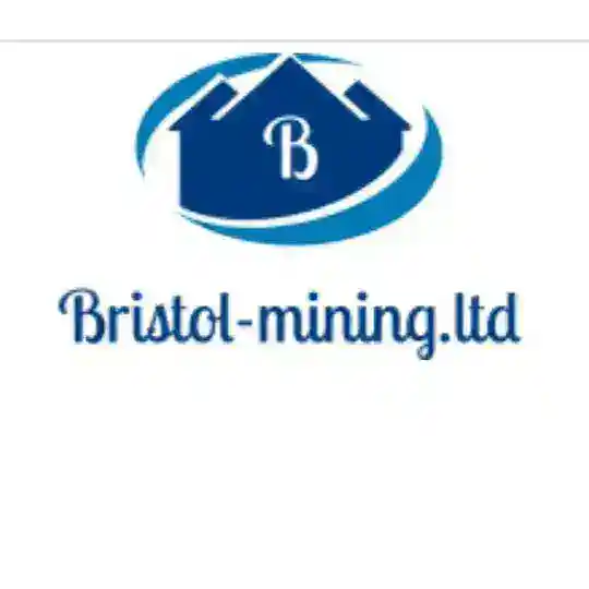 BRISTOL-MINING LTD 📊