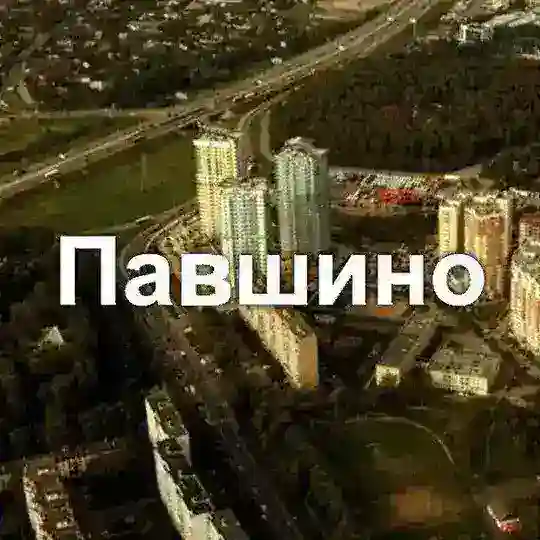 Павшино, Южный, Райцентр, СГШ - ЧАТ Telegram Group Avatar