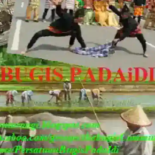 PERSATUAN BUGIS PADAiDI