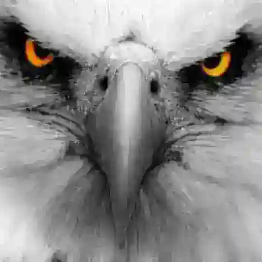 Phú Đại Bàng Crypto 🦅