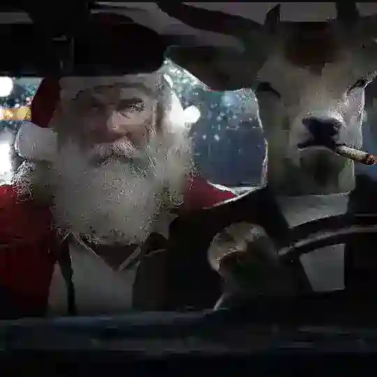 Пикабушники Рязани🍄