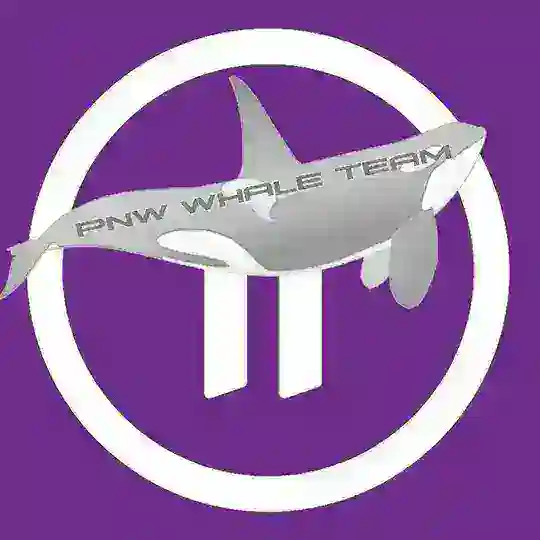 PI NETWORK | BUY/SELL | Whales 🐋 Group