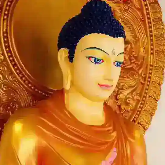 🙏🌸පින් පුරන ශ්රාවකයෝ🌸🙏