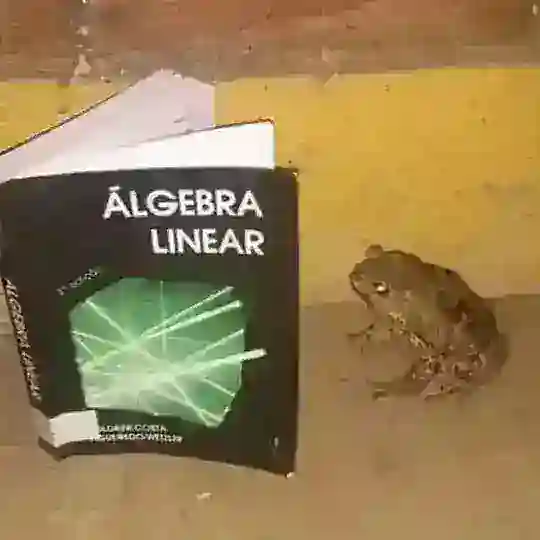 ПМ ХСЕ