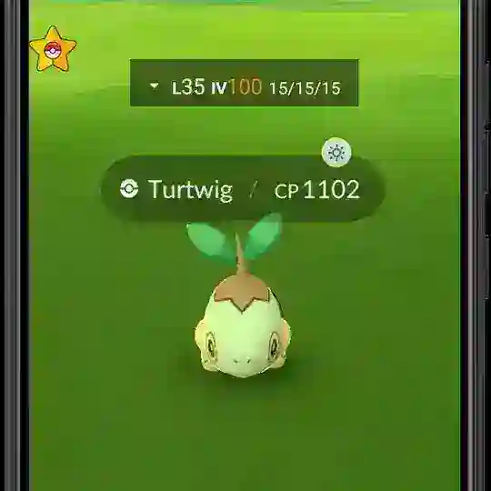 Pokemon Go Coords