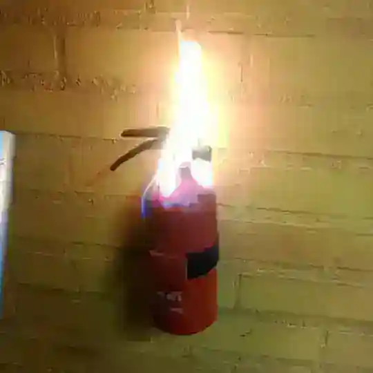 Política com Liberdade de Expressão (sem bans)